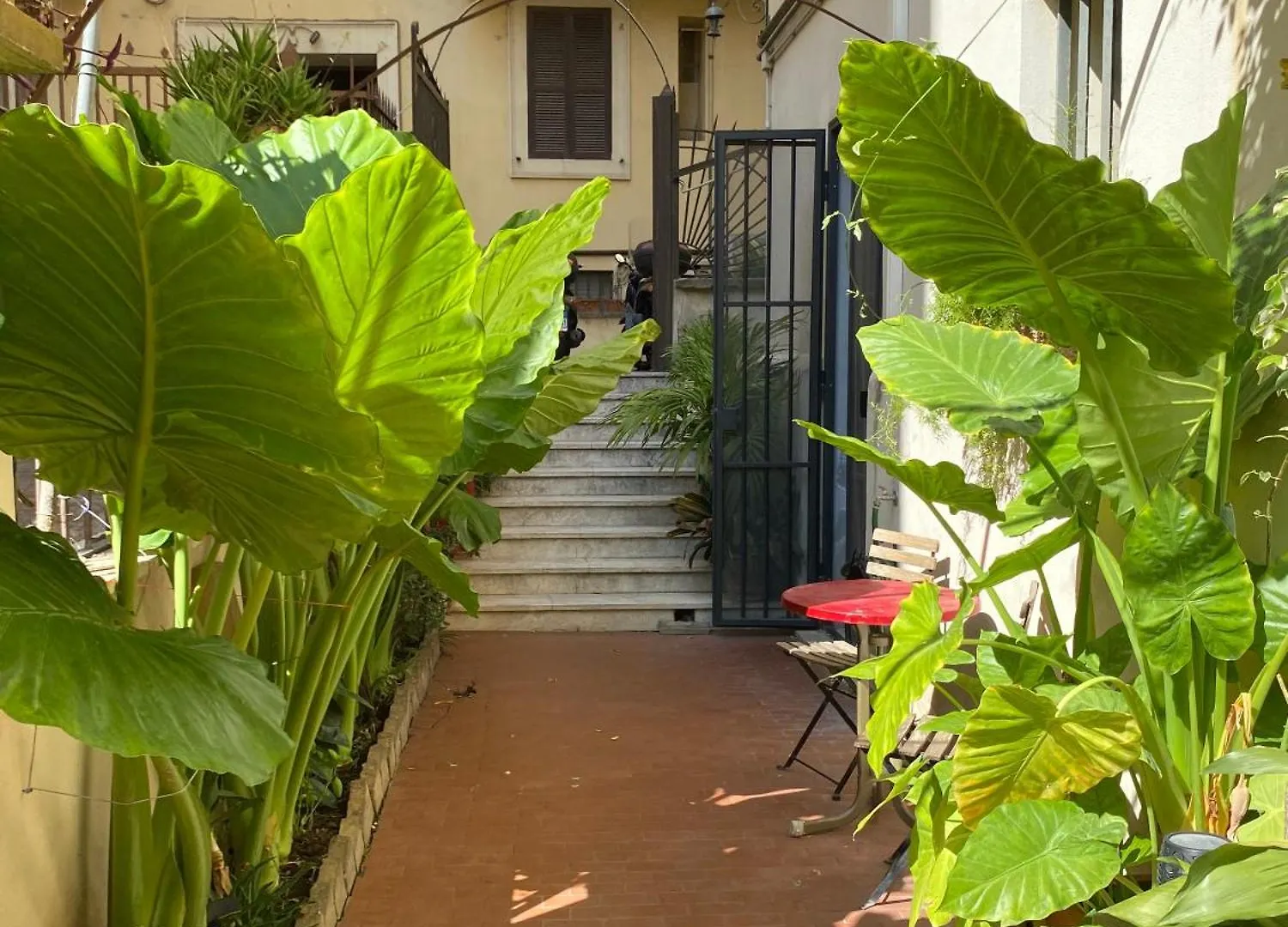 Guest house Il Plancton Hotel Rome