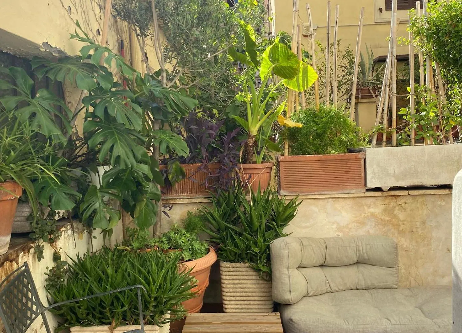 Il Plancton Hotel Rome Italy