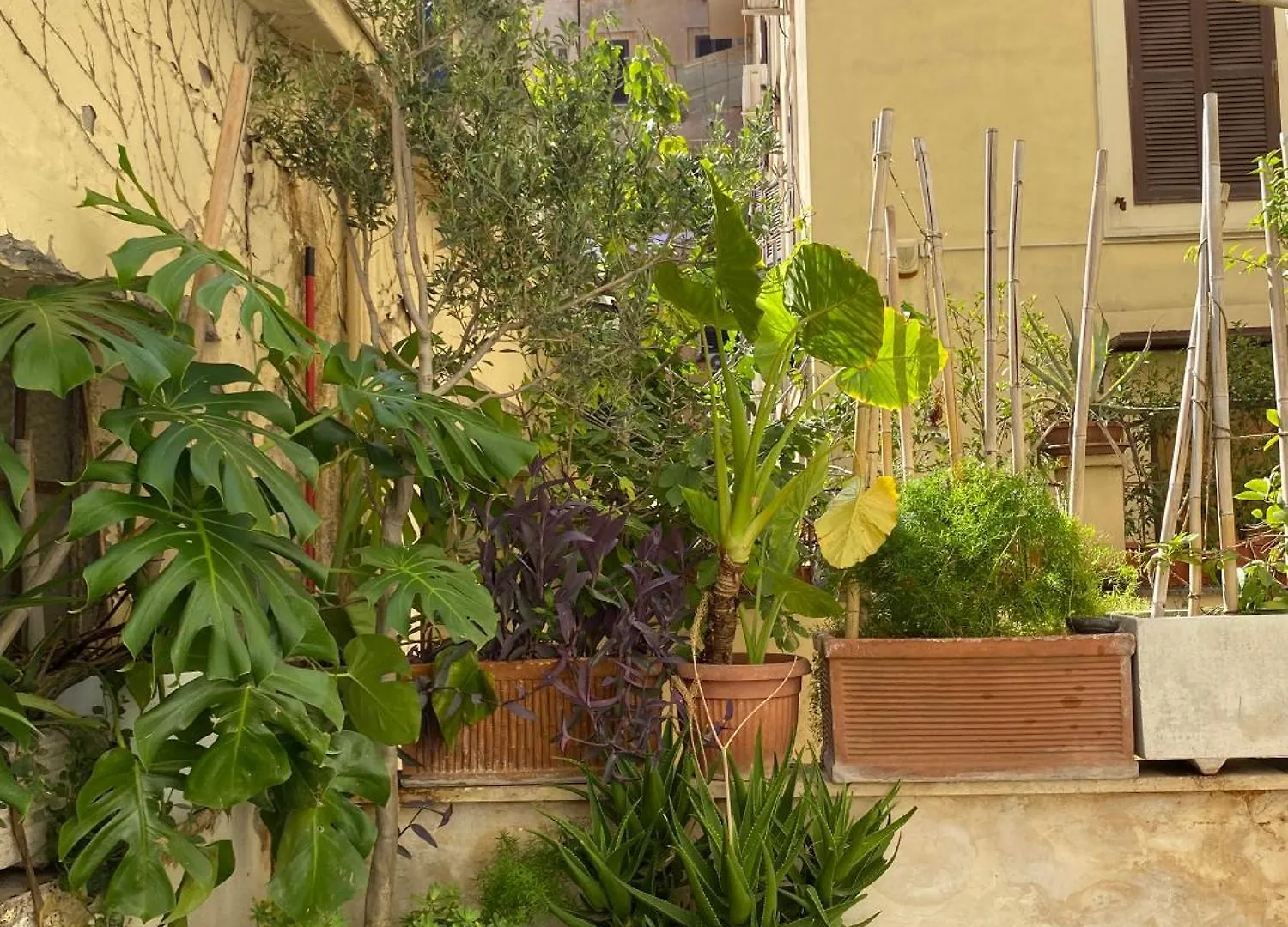 Il Plancton Hotel Rome Guest house
